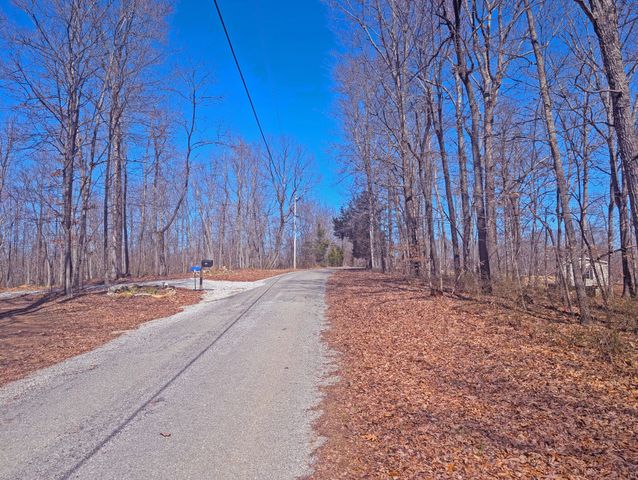 1 Rattlesnake Rd, Mcminnville, TN 37110