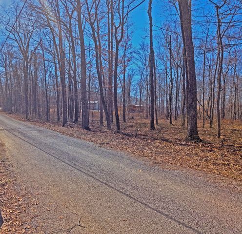 1 Rattlesnake Rd, Mcminnville, TN 37110