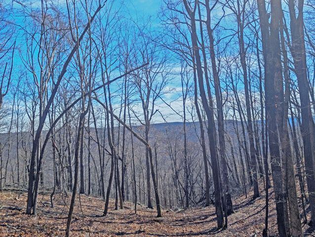 1 Rattlesnake Rd, Mcminnville, TN 37110