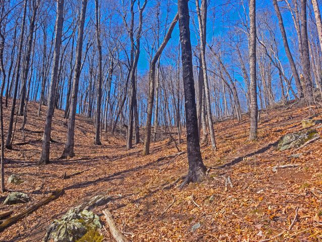 1 Rattlesnake Rd, Mcminnville, TN 37110
