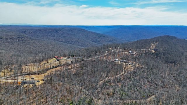 1 Rattlesnake Rd, Mcminnville, TN 37110