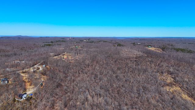 1 Rattlesnake Rd, Mcminnville, TN 37110