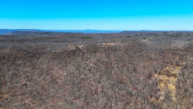 1 Rattlesnake Rd, Mcminnville, TN 37110