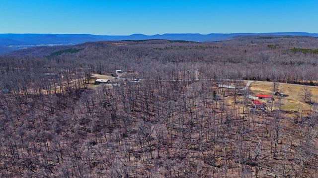1 Rattlesnake Rd, Mcminnville, TN 37110