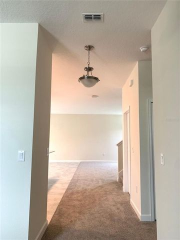 11084 SWEETGUM WOODS DRIVE, Orlando, FL 32832