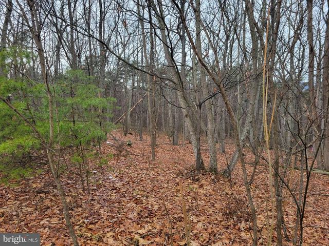 LOT 2 TIMBER RIDGE RD N, Cross Junction, VA 22625