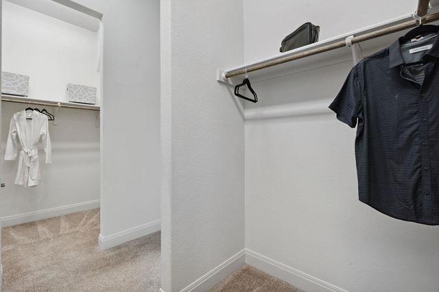 377 Bristlecone DR, Driftwood, TX 78619