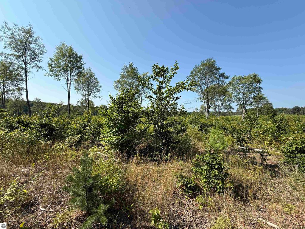 Image 11 of property listing at Parcel A3 E Kasson Road, Maple City, MI 49664