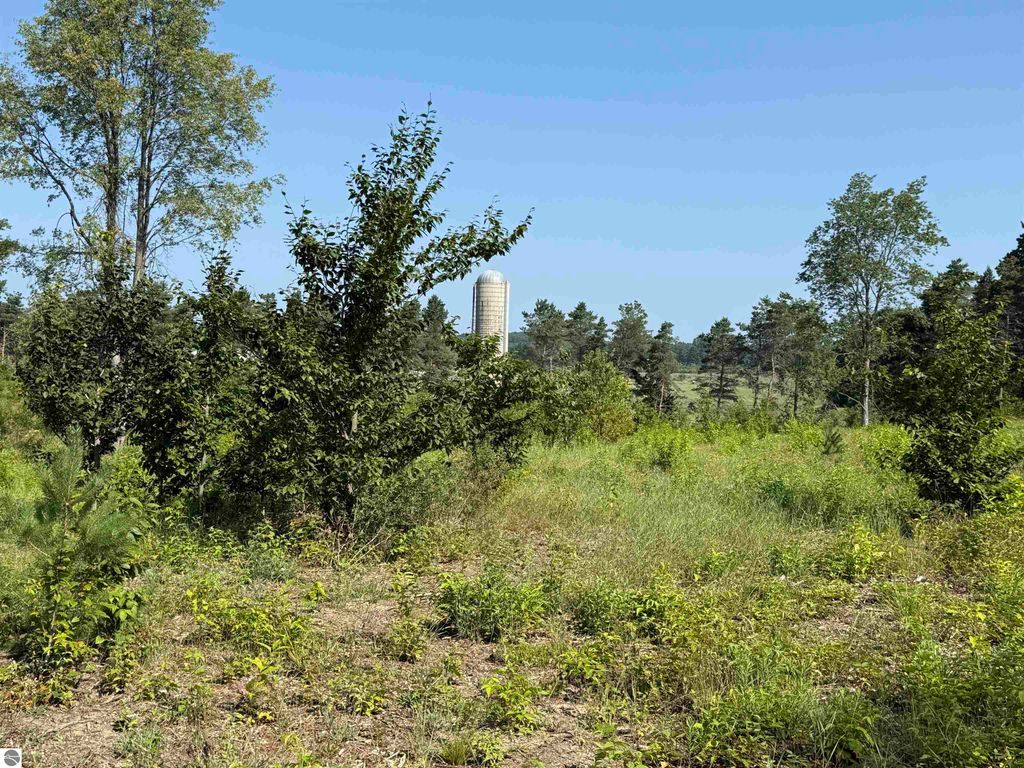 Image 13 of property listing at Parcel A3 E Kasson Road, Maple City, MI 49664