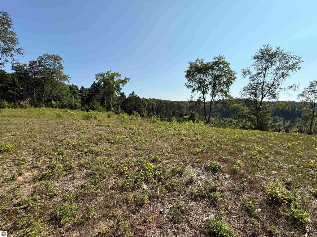 Image 8 of property listing at Parcel A3 E Kasson Road, Maple City, MI 49664