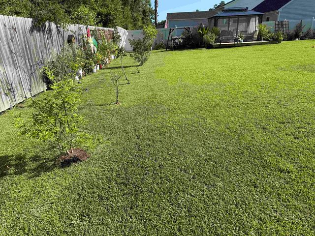 134 Kingston Bluff Dr., Longs, SC 29568