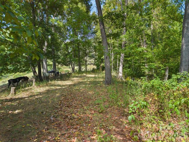 641 Scruggs Circle, Canton, NC 28716