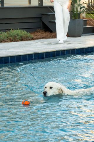 1015 Casseque Province, Mount Pleasant, SC 29464