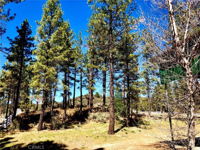 0 Butterfly Peak Rd., Mountain Center, CA 92561