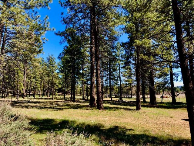 0 Butterfly Peak Rd., Mountain Center, CA 92561