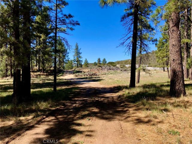 0 Butterfly Peak Rd., Mountain Center, CA 92561