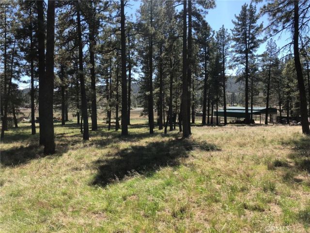 0 Butterfly Peak Rd., Mountain Center, CA 92561