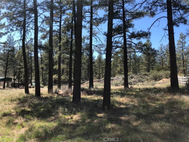 0 Butterfly Peak Rd., Mountain Center, CA 92561