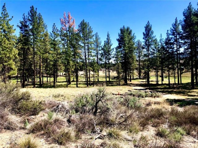 0 Butterfly Peak Rd., Mountain Center, CA 92561