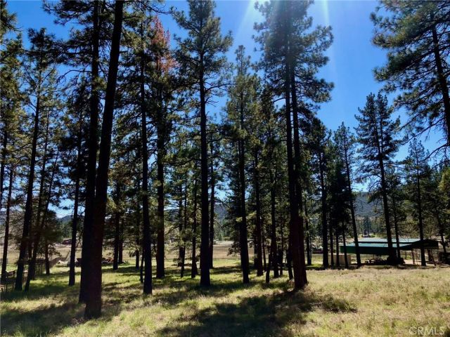 0 Butterfly Peak Rd., Mountain Center, CA 92561