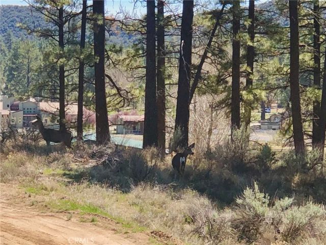 0 Butterfly Peak Rd., Mountain Center, CA 92561