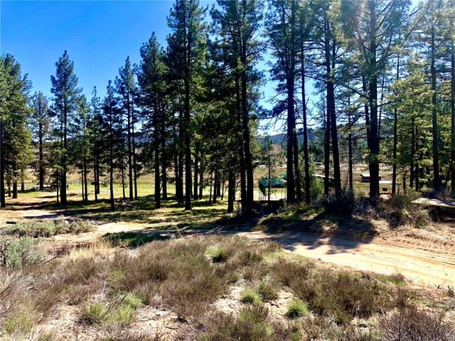 0 Butterfly Peak Rd., Mountain Center, CA 92561