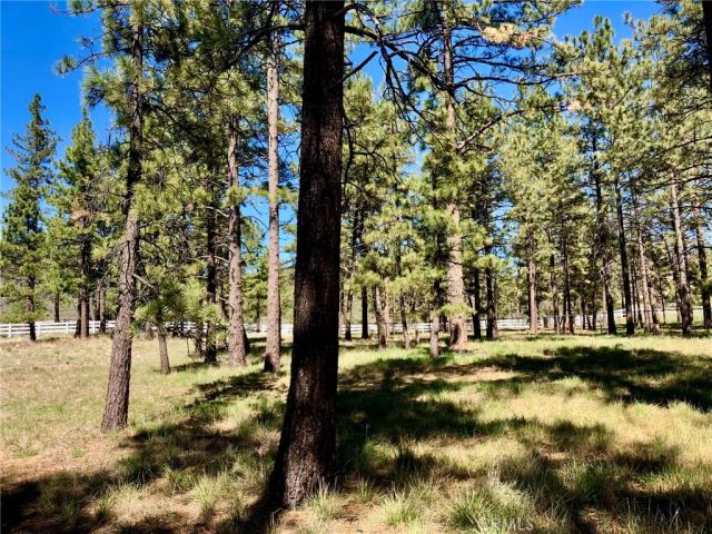 0 Butterfly Peak Rd., Mountain Center, CA 92561