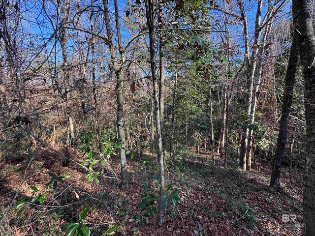 0 Bugle Retreat, Spanish Fort, AL 36527
