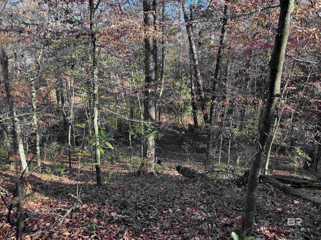 0 Bugle Retreat, Spanish Fort, AL 36527