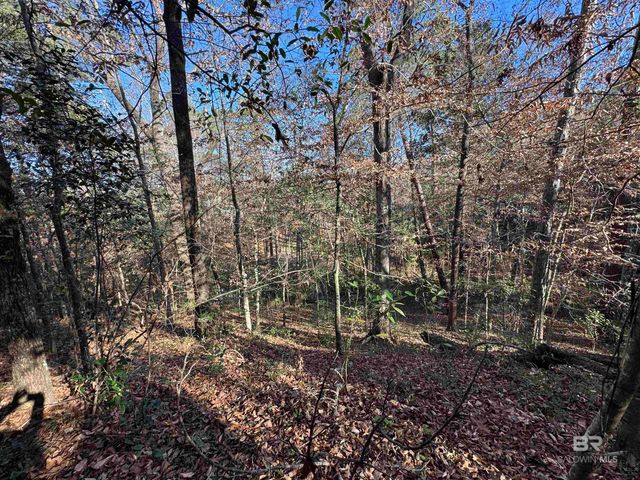 0 Bugle Retreat, Spanish Fort, AL 36527