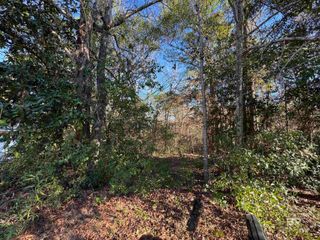 0 Bugle Retreat, Spanish Fort, AL 36527