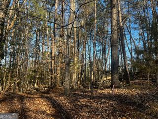 0 Alpine Way, Lavonia, GA 30553