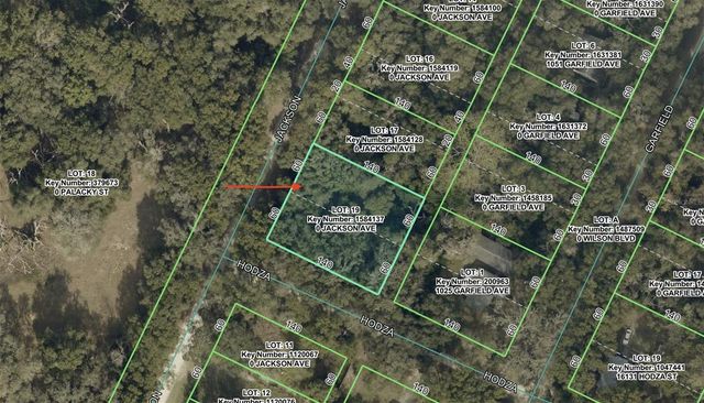 0 JACKSON AVENUE, Brooksville, FL 34604