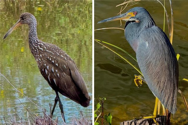 14593 Aeries Way DR, Fort Myers, FL 33912