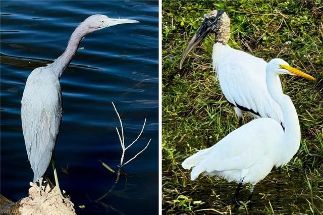 14593 Aeries Way DR, Fort Myers, FL 33912