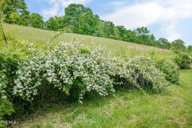 838 Longs Bend Road, Rogersville, TN 37857