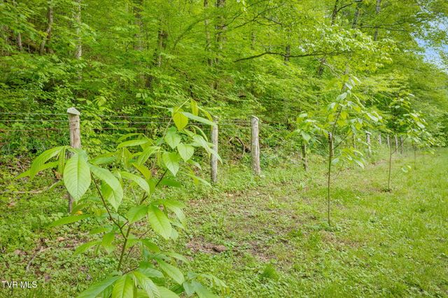 838 Longs Bend Road, Rogersville, TN 37857
