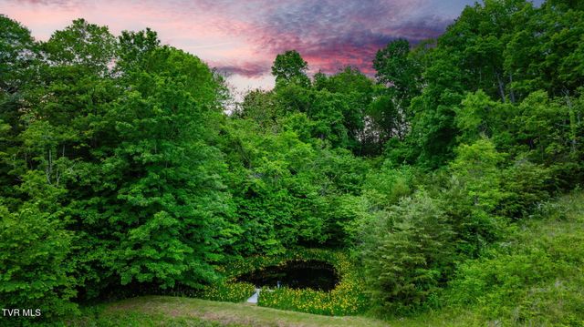 838 Longs Bend Road, Rogersville, TN 37857