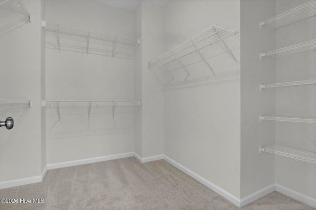 8816 Canoe Brook Court, Wilmington, NC 28411