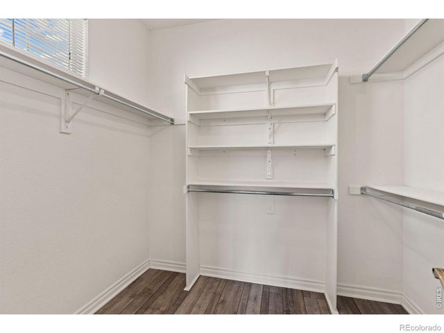 933 Ninebark Lane, Longmont, CO 80503