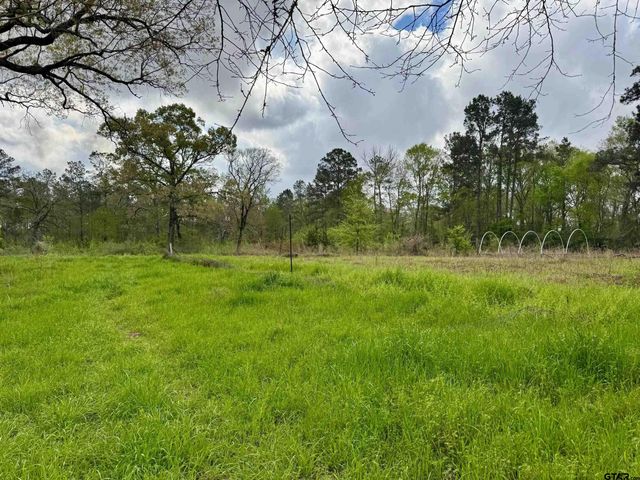 1393 CR 4020, Crockett, TX 75835