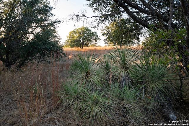 000 Black Jack Road, Fredonia, TX 76842
