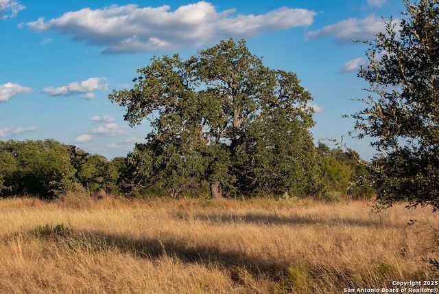 000 Black Jack Road, Fredonia, TX 76842