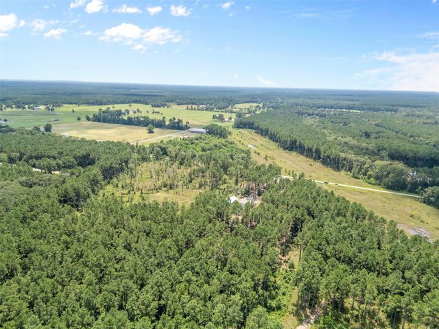 151 Thomas Windt Road, Shepherd, TX 77371