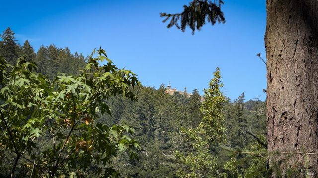 15 Mountain View Ave, Lagunitas, CA 94938