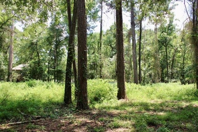 410 Dogwood Trail, Conroe, TX 77316