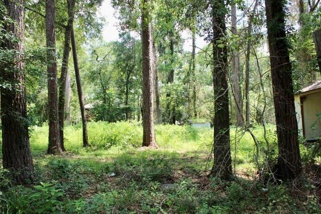 410 Dogwood Trail, Conroe, TX 77316