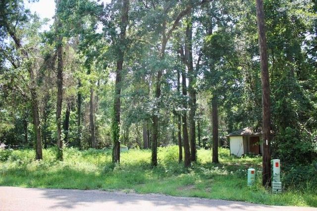 410 Dogwood Trail, Conroe, TX 77316