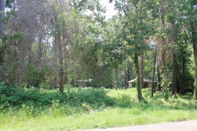 410 Dogwood Trail, Conroe, TX 77316