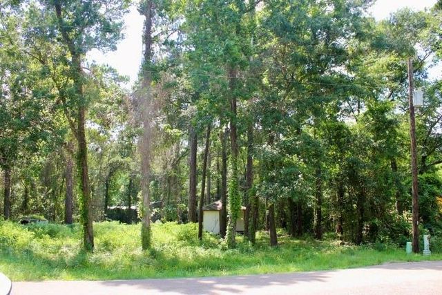 410 Dogwood Trail, Conroe, TX 77316